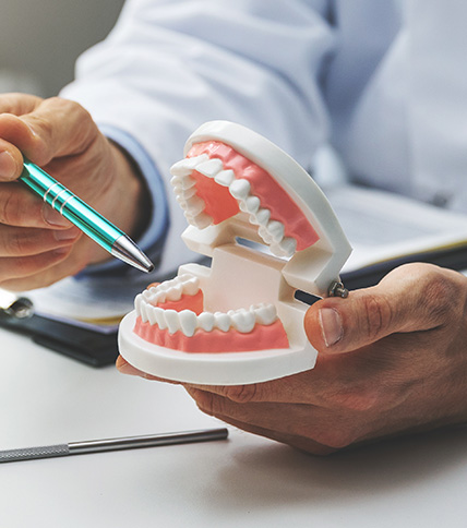Person holding a dental model of teeth and pointing to it.
